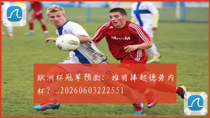 欧洲杯冠军预测:谁将捧起德劳内杯?_20260603222551